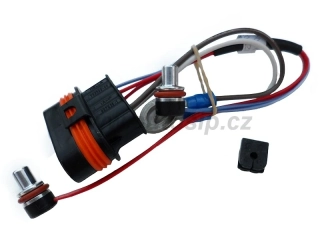Svazek kabelů s čidlem pro D5W Z 251922012000 /251922012300 (B3)